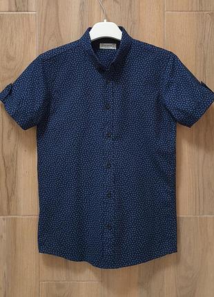 Scotch b'oyce - рубашка синяя - на 13-14 лет - коттоновая подростковая короткая рукав fсxs    👉подойдет