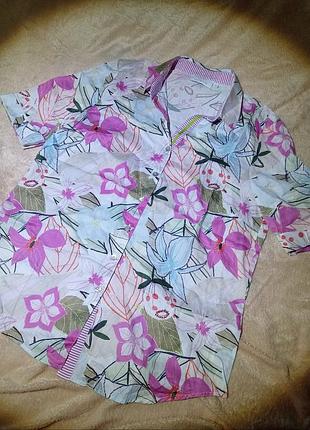 Сорочка нова .💯%бавовна 🌺💕🩵🤍 2