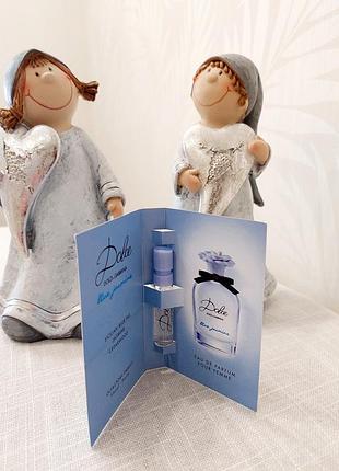 Dolce &amp; gabbana dolce blue jasmine