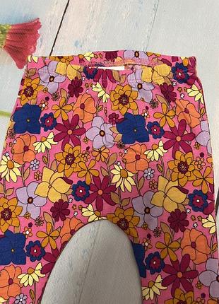 Лосины клеш 2