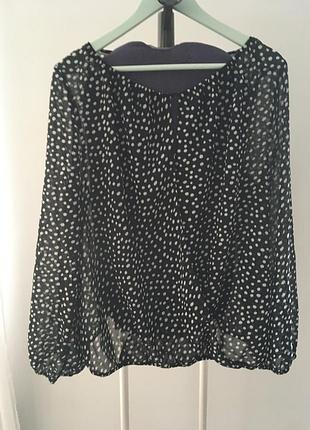 Блуза в горох