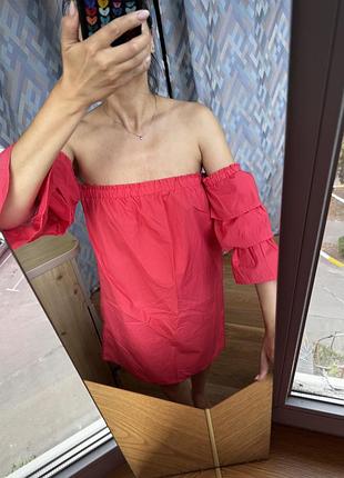 Кораловий саран amisu