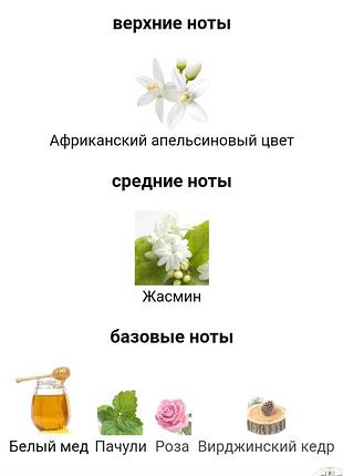 Elie saab le parfum 2