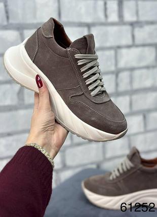 Кросівки натуральна замша