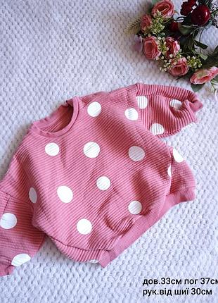 Світшот на дівчинку 9/12 м