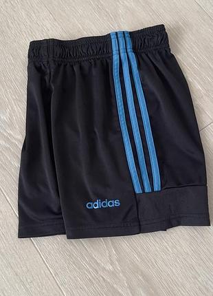 Спортивные шорты