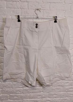 Фирменные хлопковые шорты