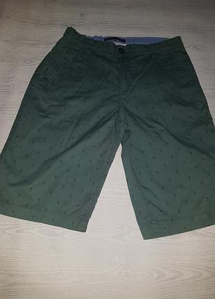 Шорты с пальмами 3