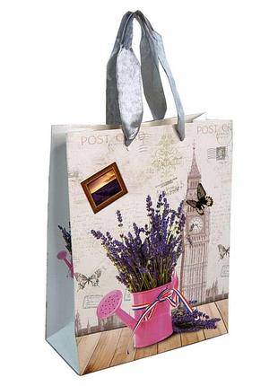 Пакет подарунковий (24х18см)