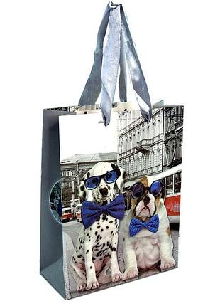 Пакет подарунковий (24х18см)