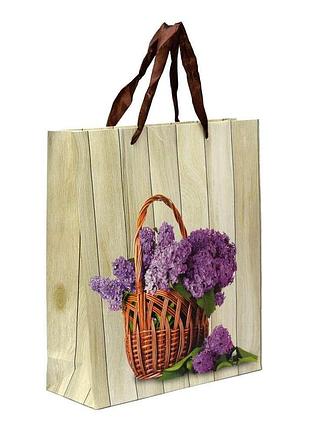 Пакет подарочный (32х26см)