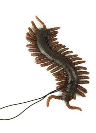 Гумова сколопендра (коричнева)