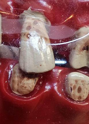 Зуби, щелепи гумові подвійні (верхні і нижні) №7 на хелловін