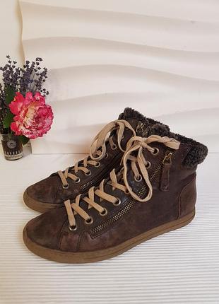 Кожаные высокие кеды ботинки с овчиной paul green 38р