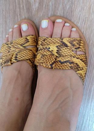 Шлепанцы натуральная кожа 37 размер