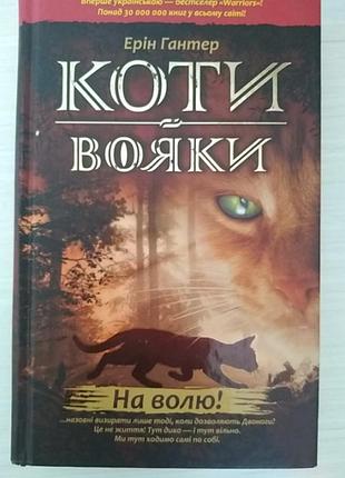 Коты воини