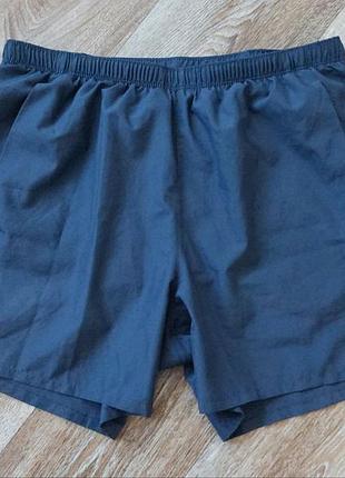 Чоловічі шорти nike dri fit