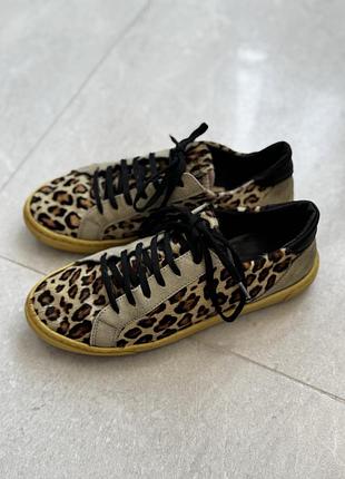 Жіночі кеди zara