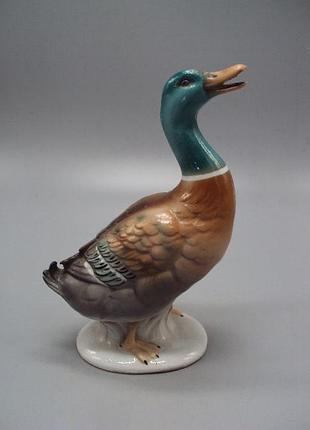Фигура фарфор статуэтка германия утка селезень уточка высота 15,9 см (скольчик и паутинка) №13636