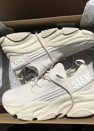 Кросівки steve madden protégé-e
