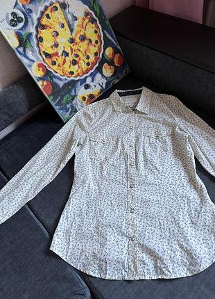 Сорочка жіноча з принтом