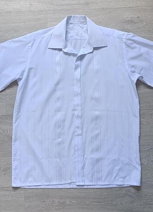 Біла сорочка