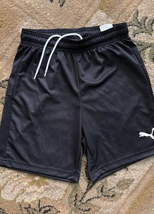 Шорти спортивні puma 2