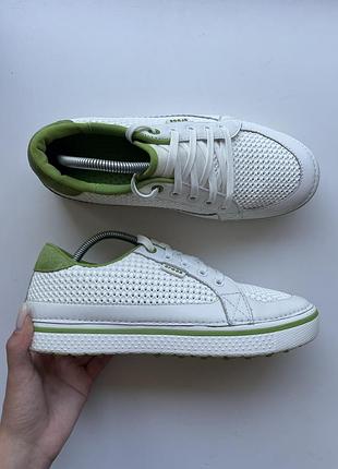 Кросівки crocs