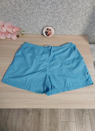 Мужские голубые шорты nike.
