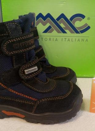 Чобітки зимові на мембрані.