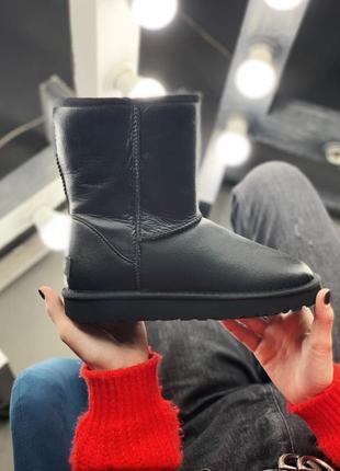 ugg Pink australia високі жіночі чоботи уггі