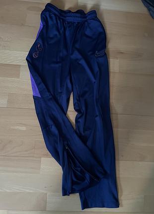 Спортивные брюки лосины nika