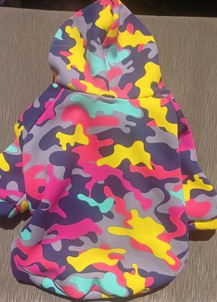 Худи для собаки (новое)