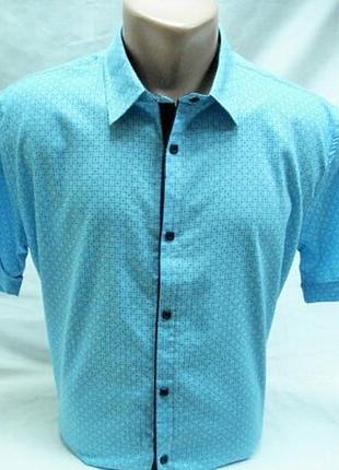 Сорочка чоловіча з коротким рукавом f&t бірюза м приталена