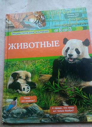 Книжка про тварин.