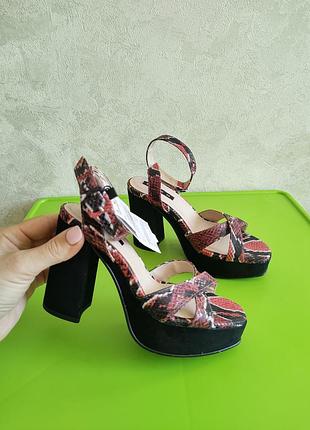 Нові жіночі босоніжки в зміїний принт 35 розмір zara