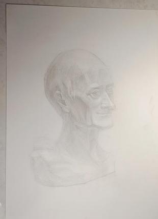 Гипсовая голова вольтера, рисунок академический.