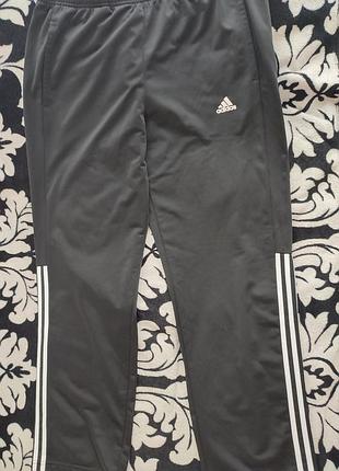 Спортивні штани adidas