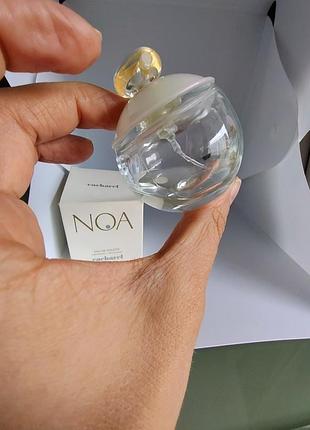 Cacharel noa 2008 року