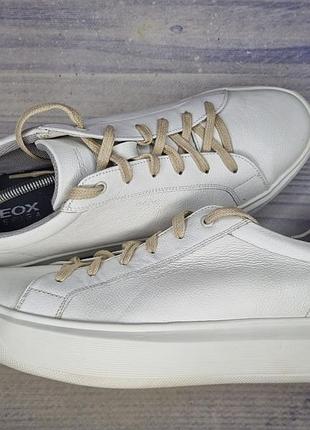 Кеды geox white