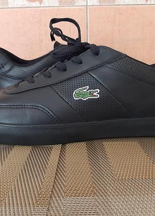 Коосівки lacoste.