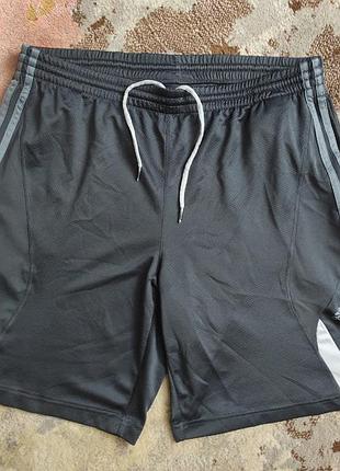 Шорты спортивные мужские adidas