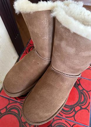 Натуральні угі чоботи ugg