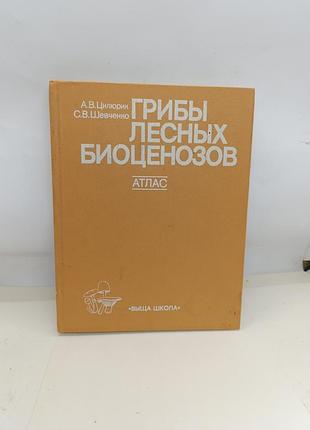 Книга книжка грибы лесных биоценозов атлас а.в. целюрик с. в. шевченко