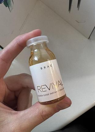 Ампула brae revival