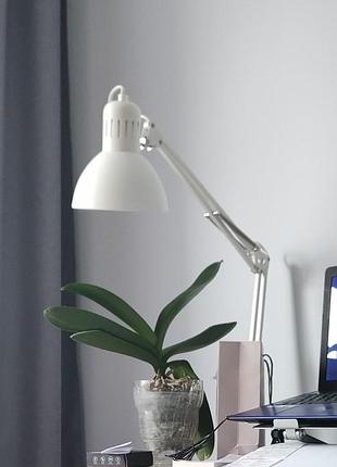 Настольная лампа икея (ikea)