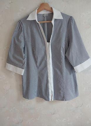 Жіноча блуза rogers+rogers uk20 54р. 3xl, в смужку, бавовна з еластаном