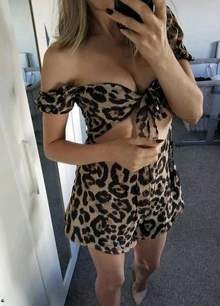 Pretty little thing