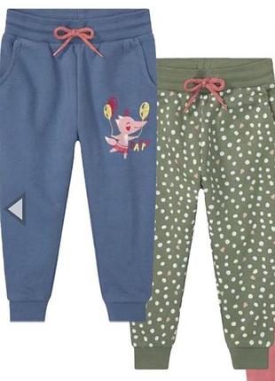 Утеплені спортивні штани джогери lupilu