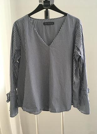 Блуза в смужку великій розмір